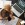 SA neuroscientists new report on how ‘High Performers’ manage pandemic stress